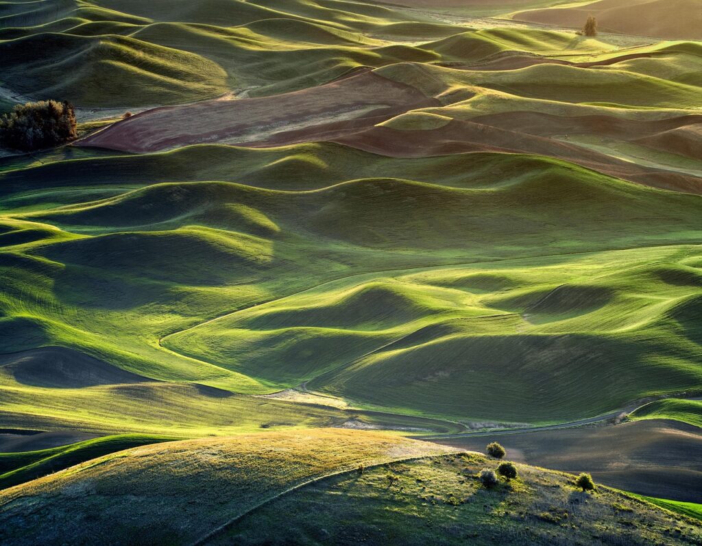 マッチングアプリでいいねが0件の女性はどうすればいい？