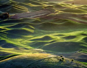 マッチングアプリでいいねが0件の女性はどうすればいい？