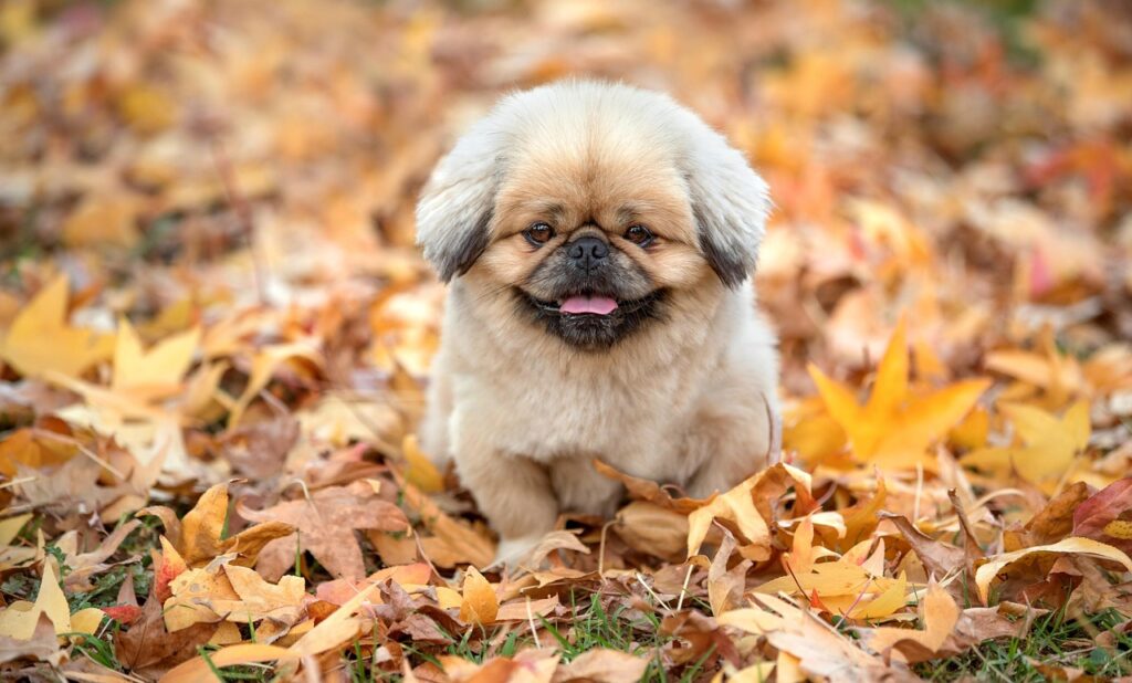 マッチングアプリの見極め方で成功する出会いを実現するには？