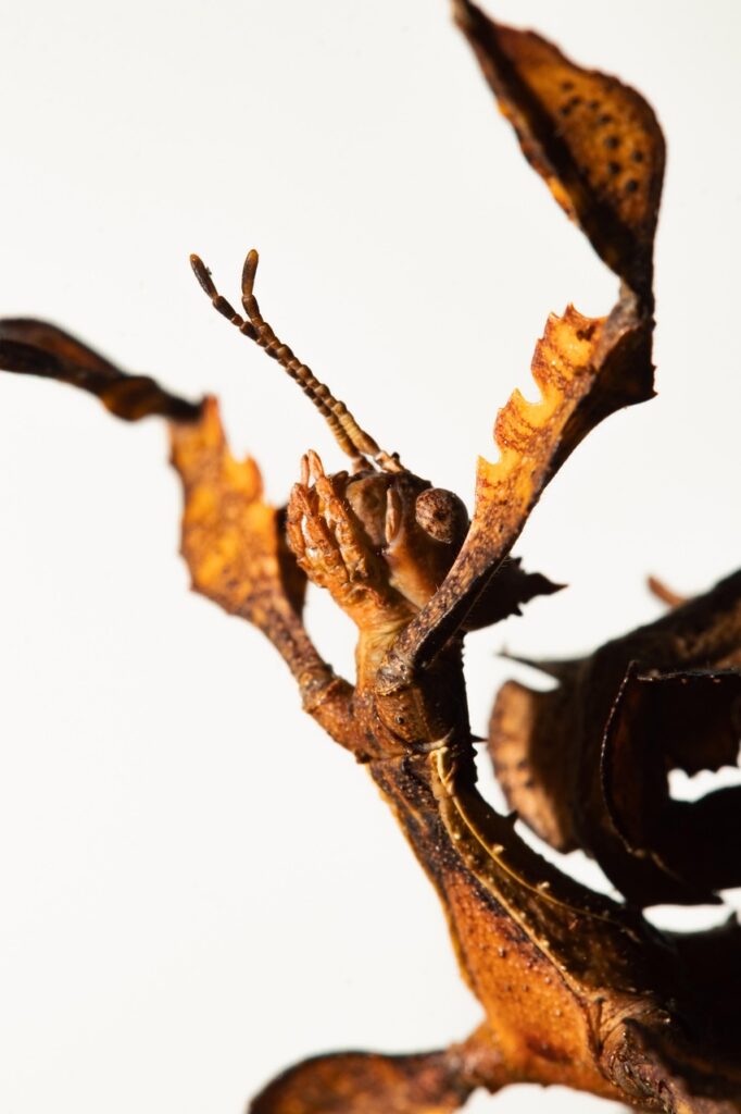 マッチングアプリでの既読無視に対する効果的な対処法は？