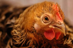 マッチングアプリでデートに誘われない女性はどうすればいい？