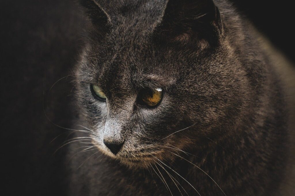 マッチングアプリのプロフィールが書けないときの解決策は？