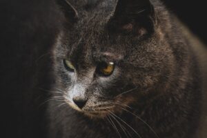 マッチングアプリのプロフィールが書けないときの解決策は？