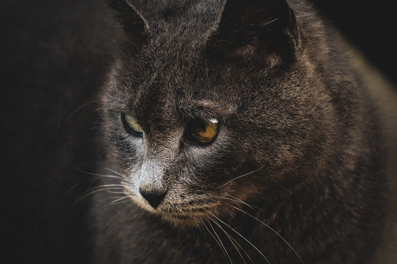 マッチングアプリのプロフィールが書けないときの解決策は？