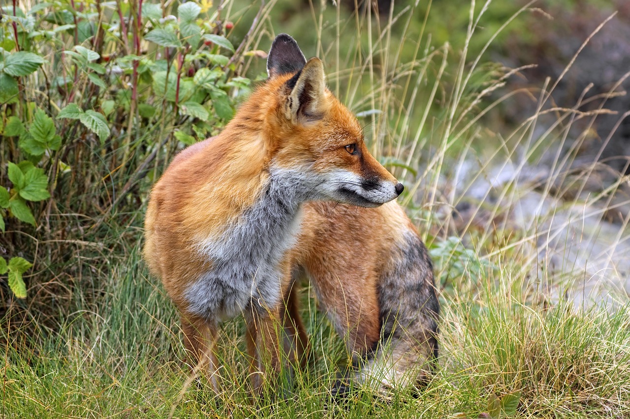 マッチングアプリが怖いと感じた時にやめたい理由とは？