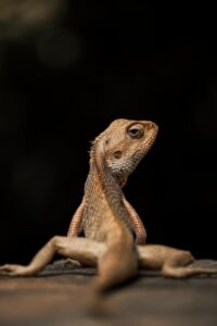 マッチングアプリのプロフィールを改善するための書き方は？