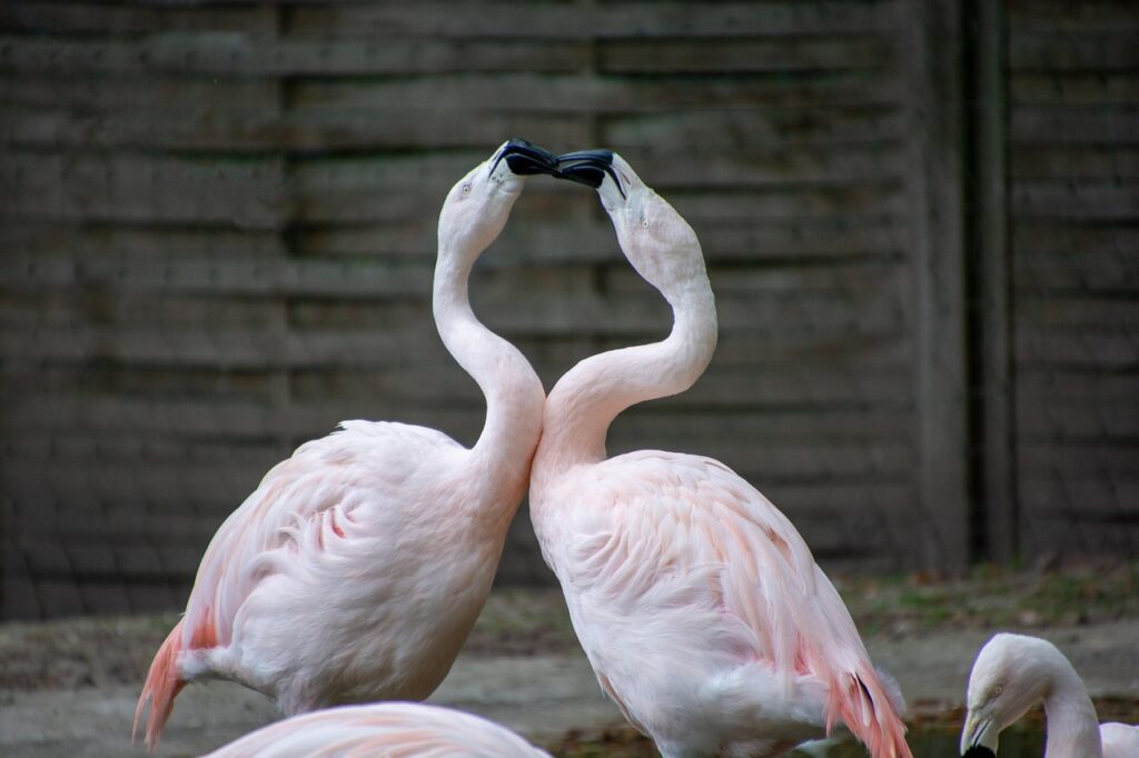 マッチングアプリでの回避型に対する対処法は？