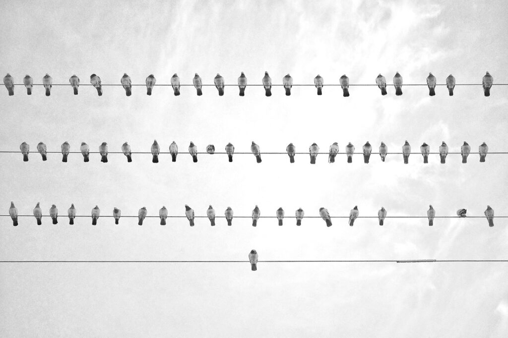 マッチングアプリで離婚歴を持つ人の印象はどう変わる？