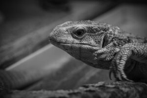 マッチングアプリを退会する理由は多いのか？